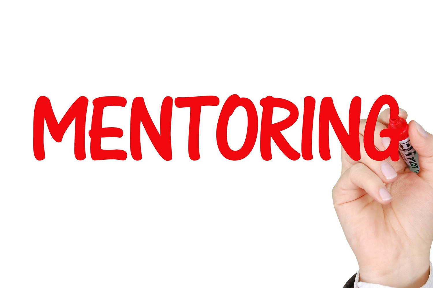 <span style="font-weight: bold;">Mentoring</span> 